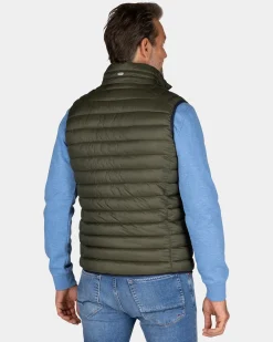 Dunkelgrüner wattierter Bodywarmer - Quartz Green
